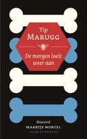 De morgen loeit weer aan (E-book)