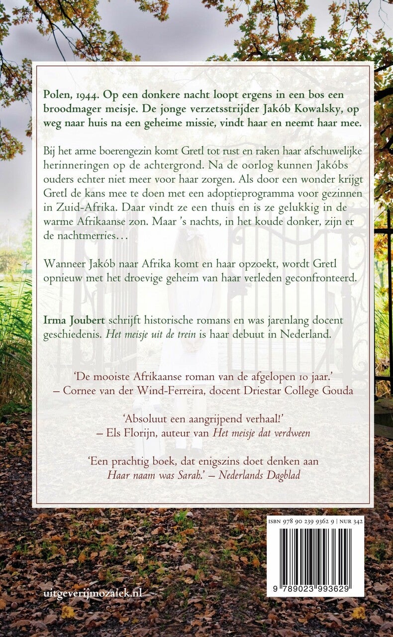 Het meisje uit de trein (E-book)