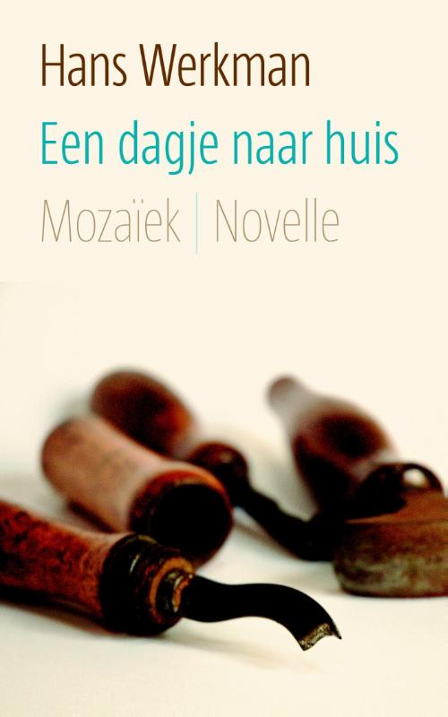 Een dagje naar huis (E-book)
