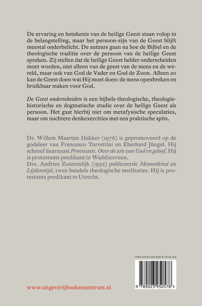 De geest onderscheiden (E-book)