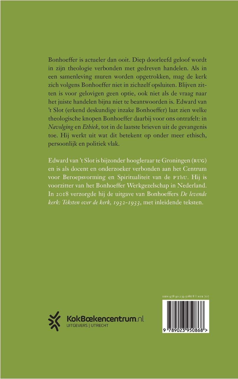 Zondig dapper (E-book)