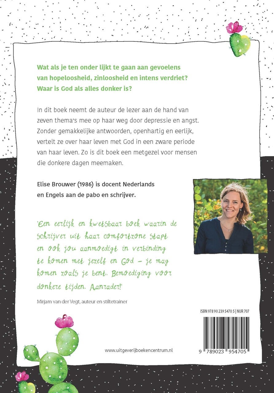 Woestijnregen (Paperback)