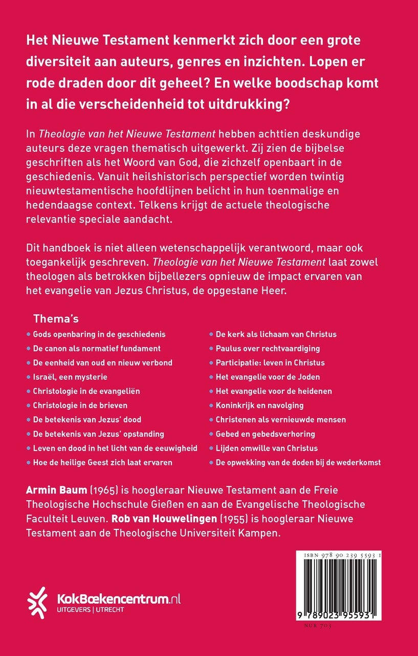 Theologie van het Nieuwe Testament (E-book)