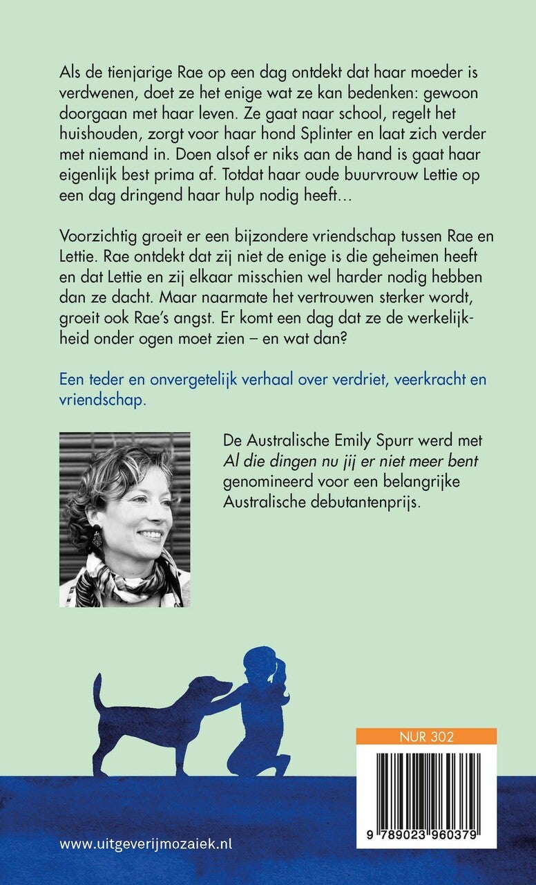 Al die dingen nu jij er niet meer bent (E-book)