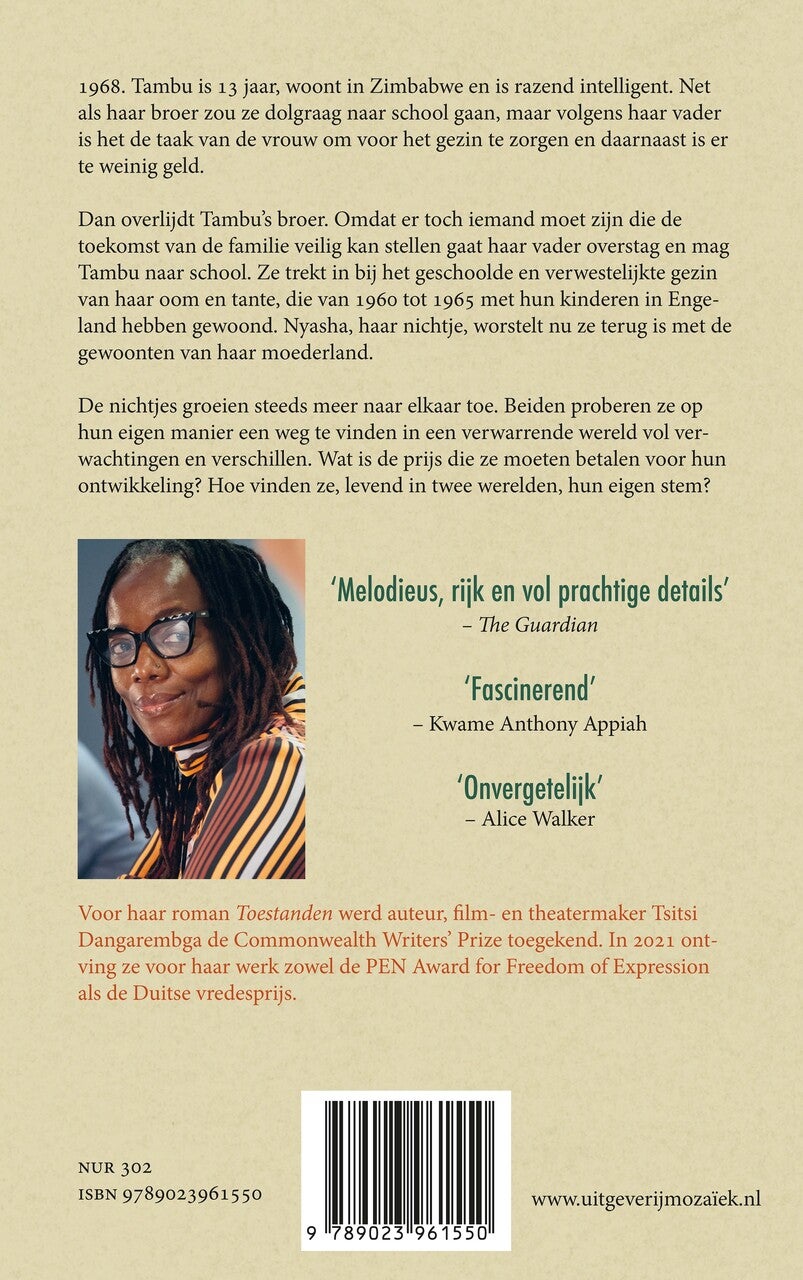 Toestanden (Paperback)