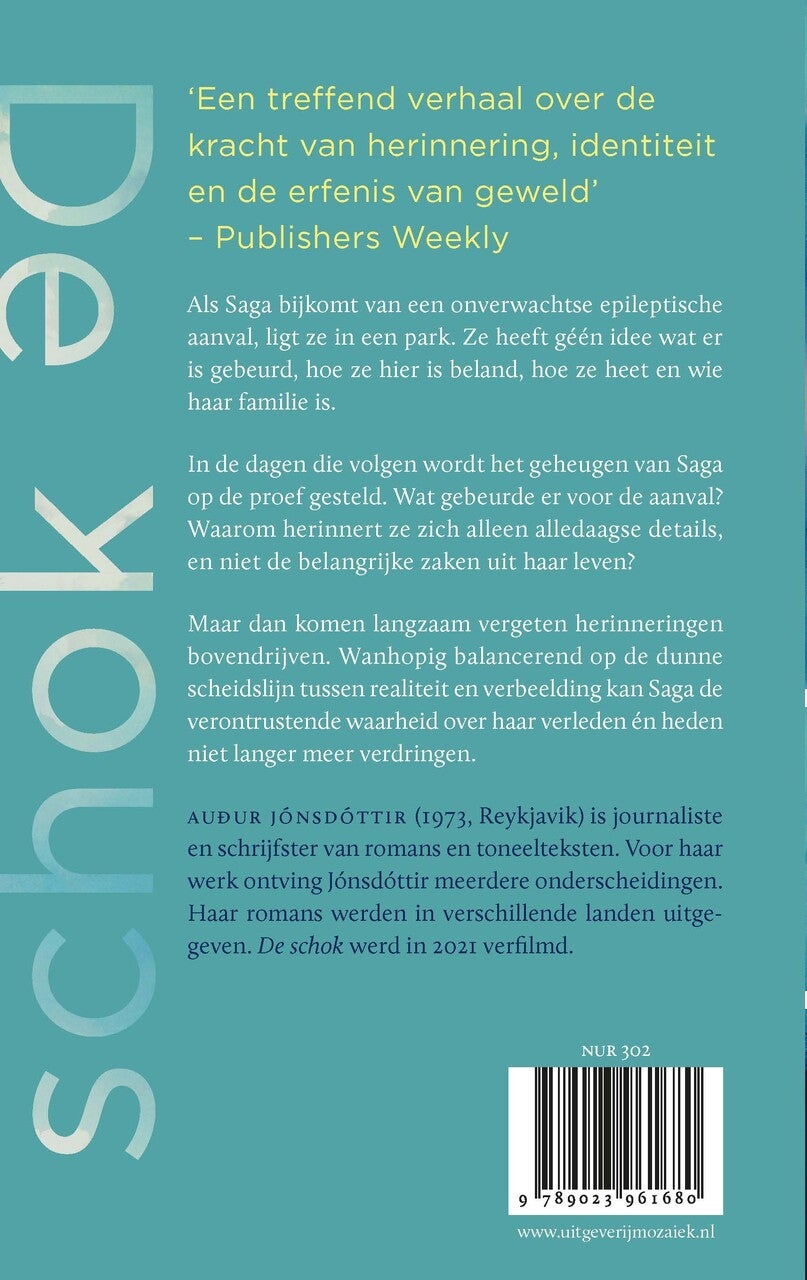 De schok (E-book)