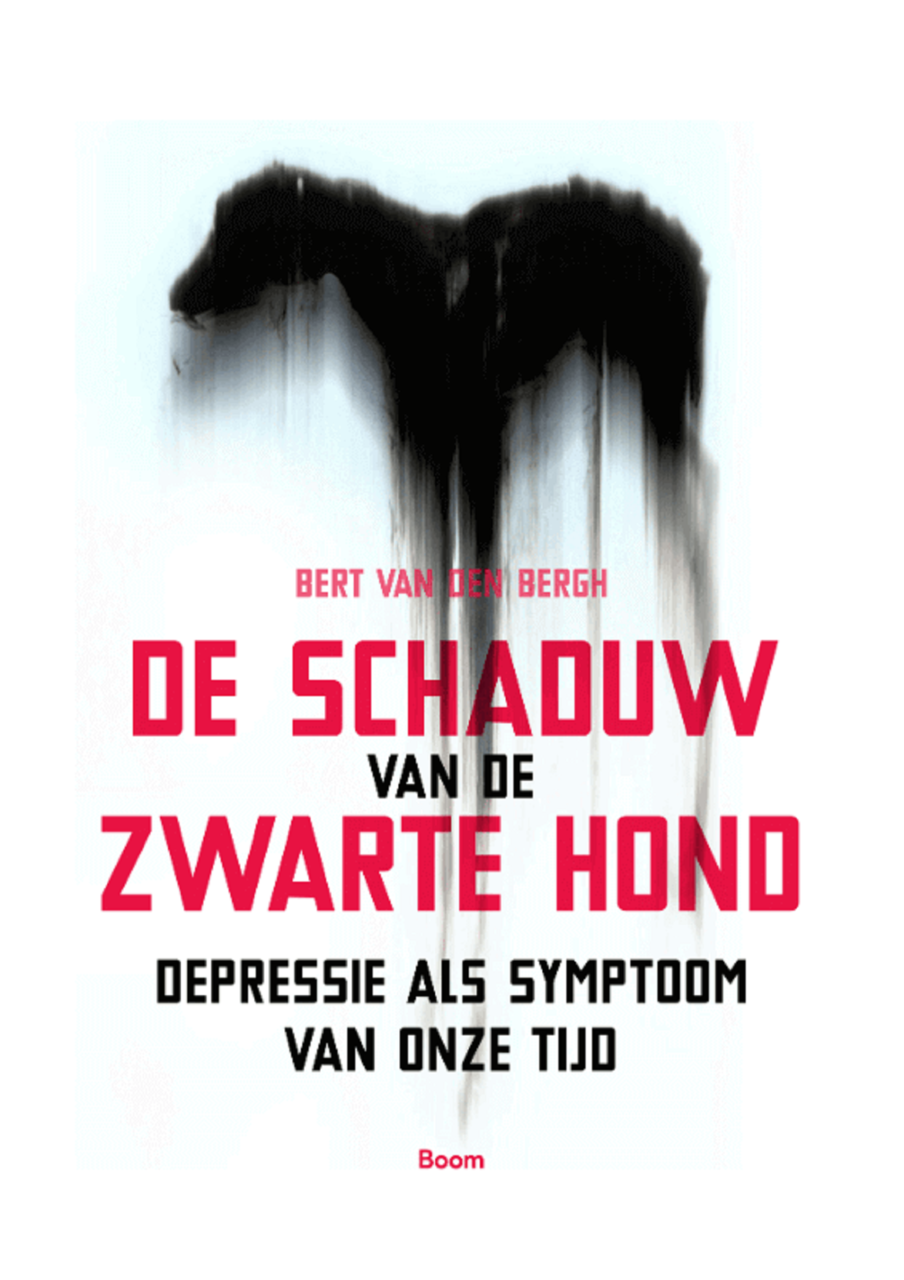 De schaduw van de zwarte hond (E-book)