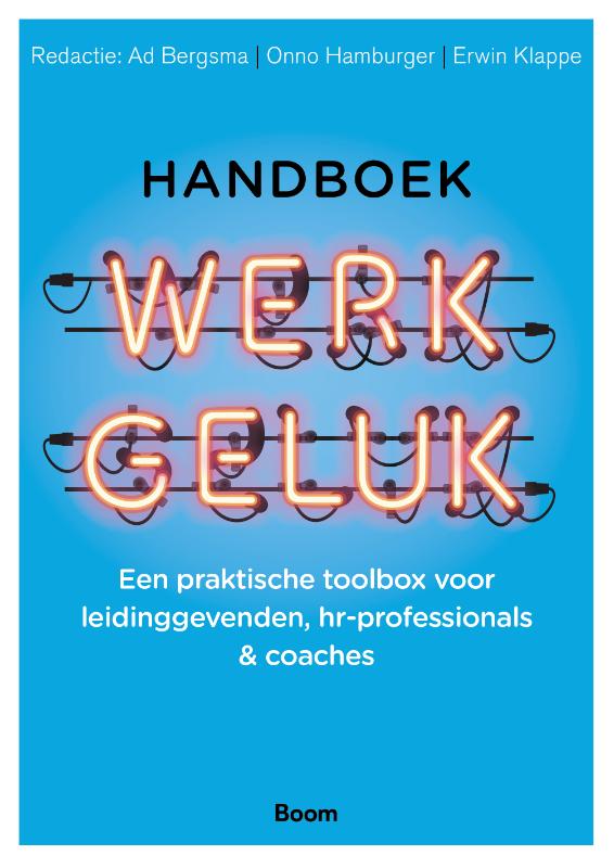 Handboek werkgeluk (Paperback)