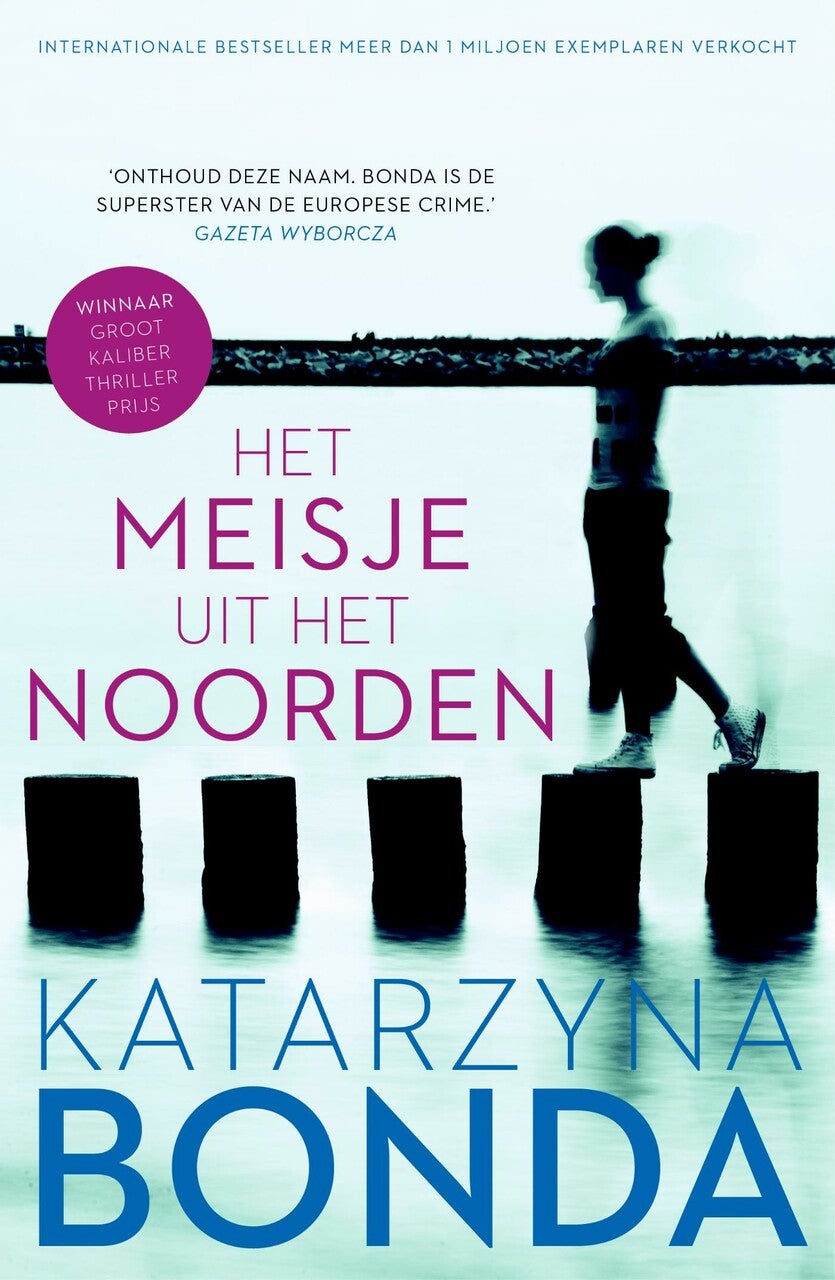 Het meisje uit het noorden (E-book)