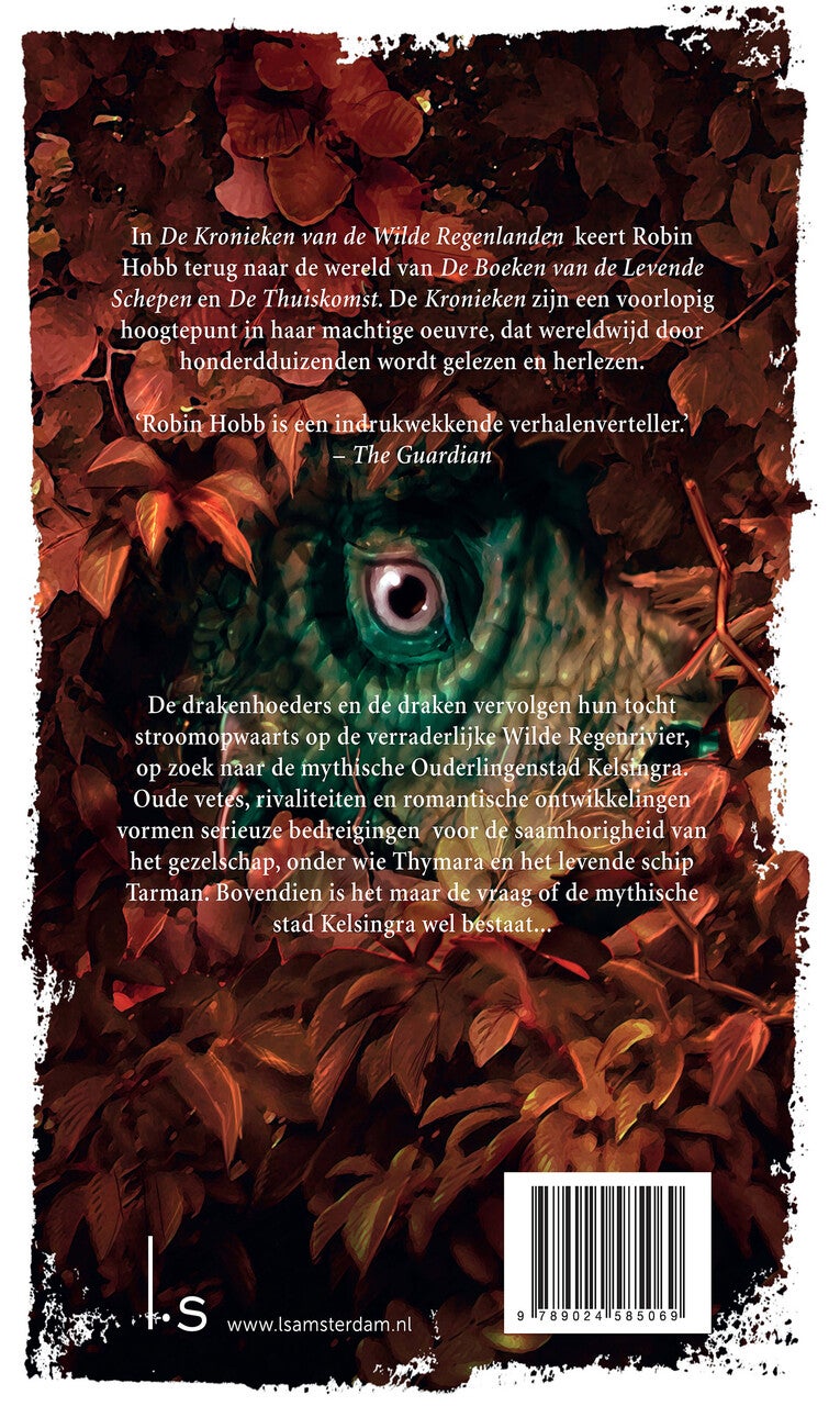 Drakenziel (Paperback)