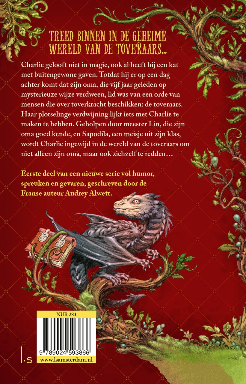 De leerling-toveraar (E-book)
