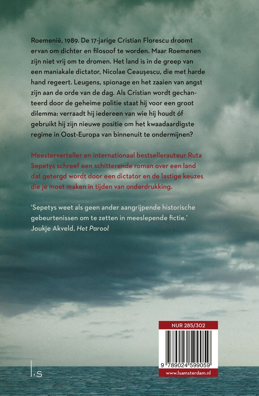 Ik moet je verraden (E-book)
