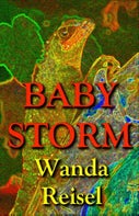 Baby Storm (E-book)