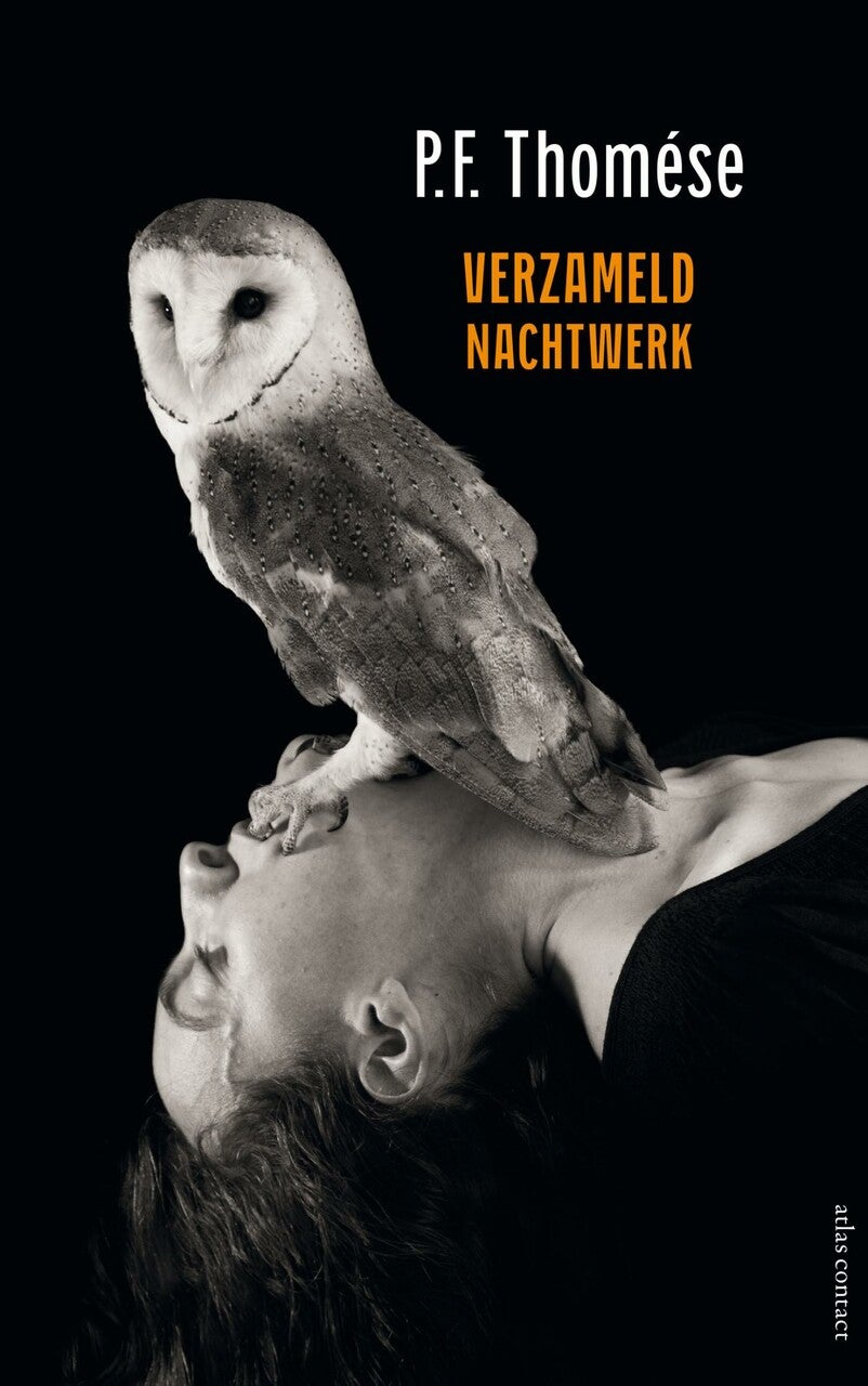 Verzameld nachtwerk (E-book)