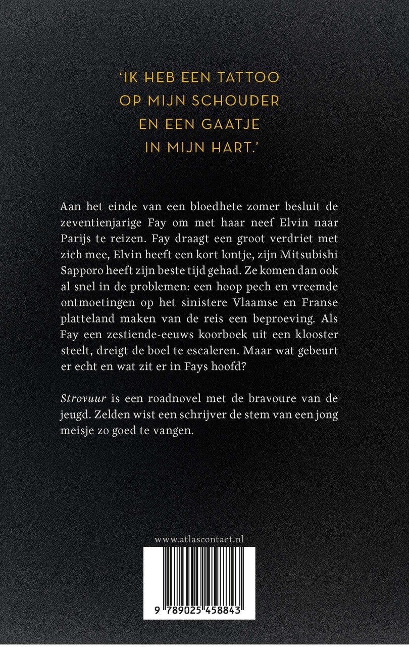 Strovuur (E-book)