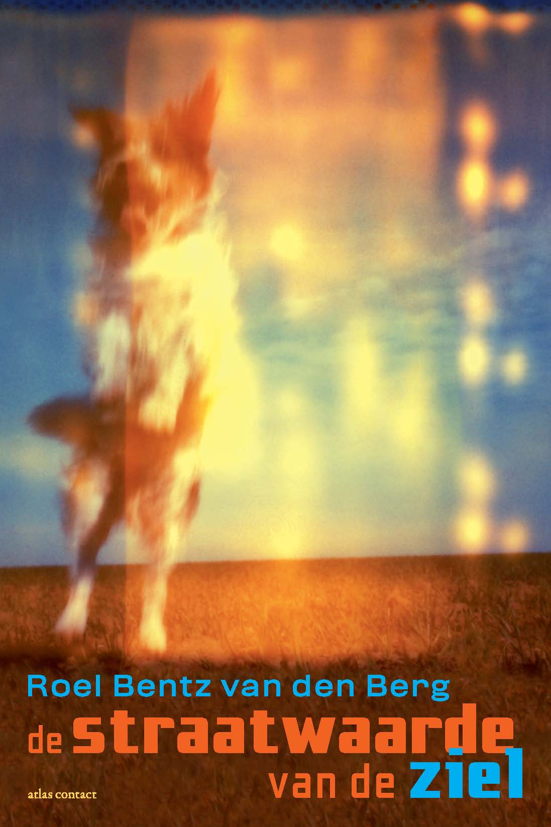 De straatwaarde van de ziel (E-book)