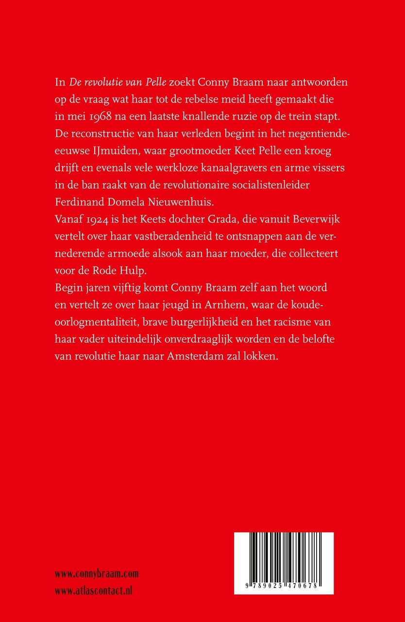 De revolutie van Pelle (E-book)