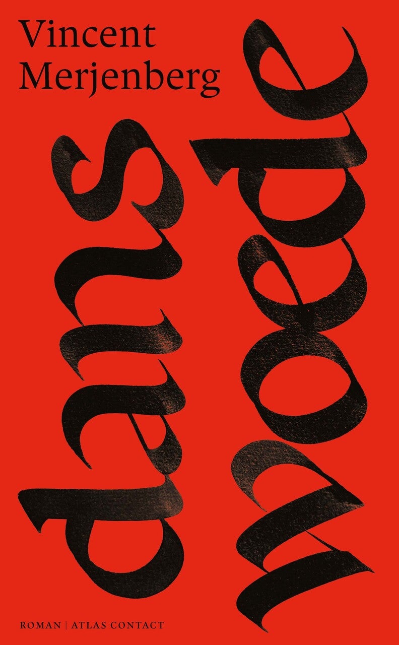 Danswoede (Paperback)