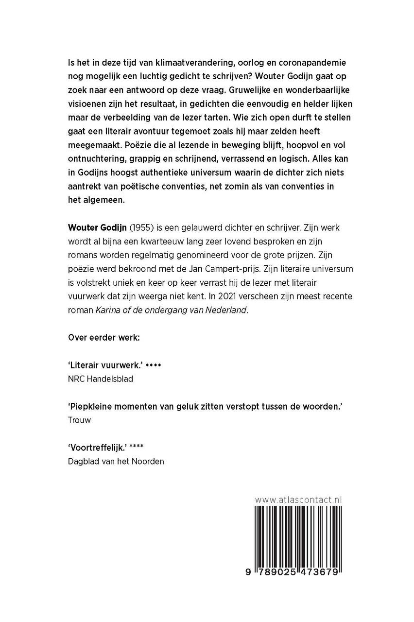 Poging een luchtig gedicht te schrijven (Paperback)