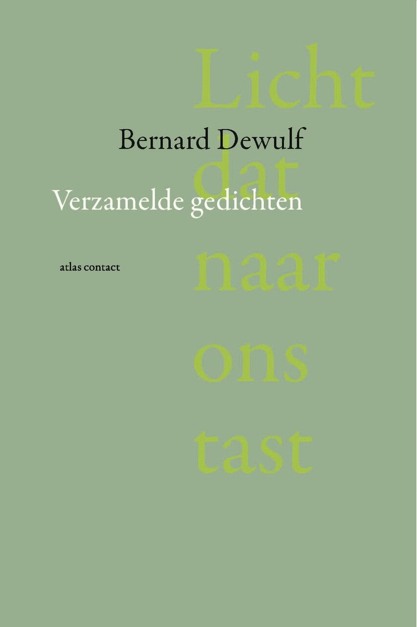 Licht dat naar ons tast (E-book)
