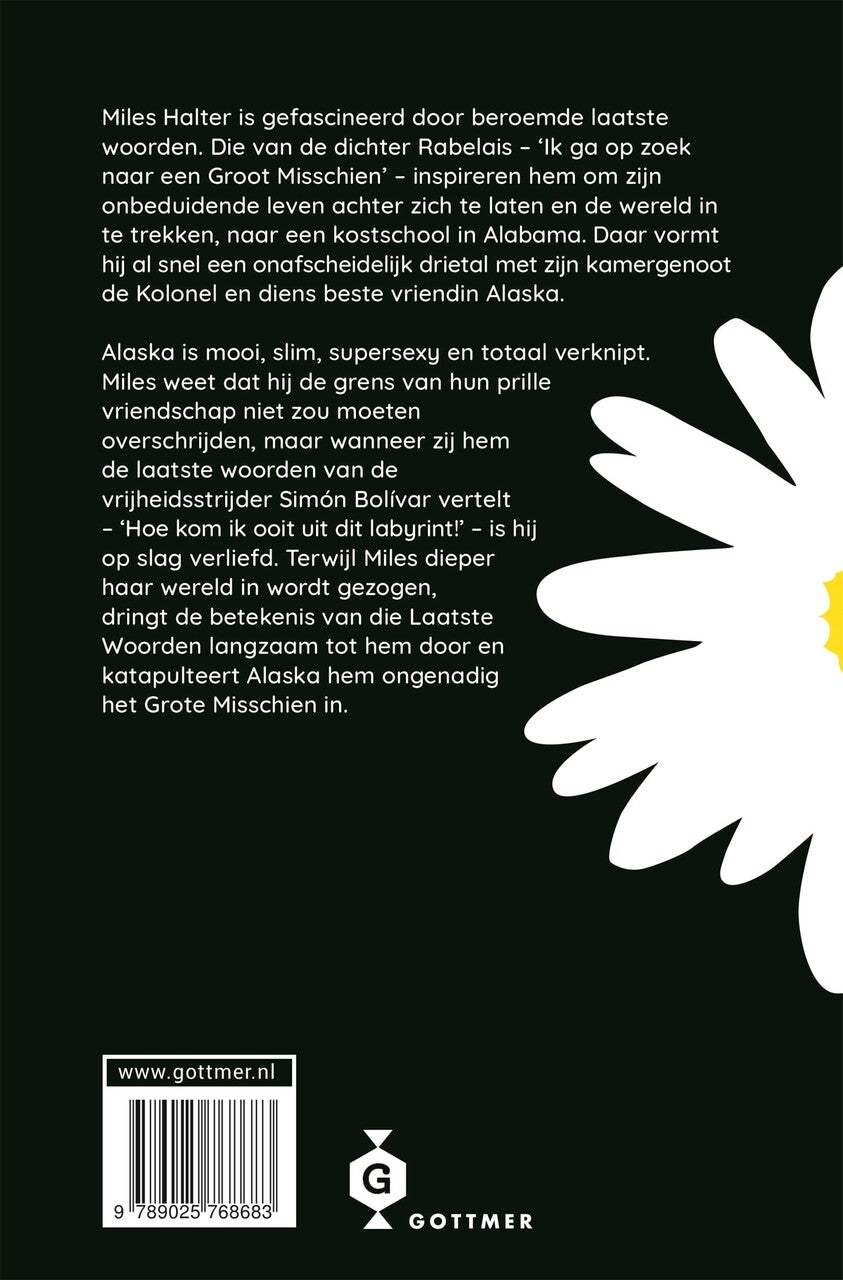 Het grote misschien (E-book)