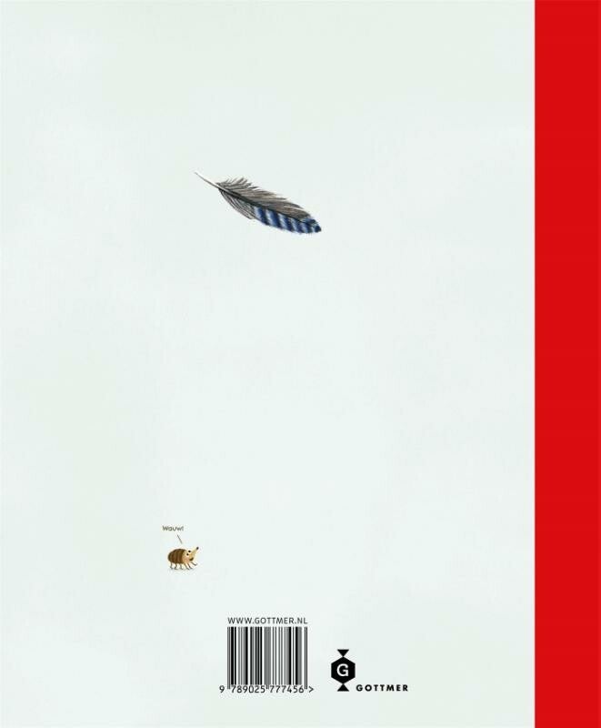 Het Kabouterboek (Hardback)
