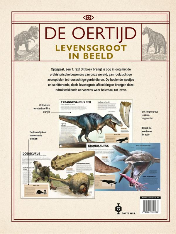 De oertijd levensgroot in beeld (Hardback)
