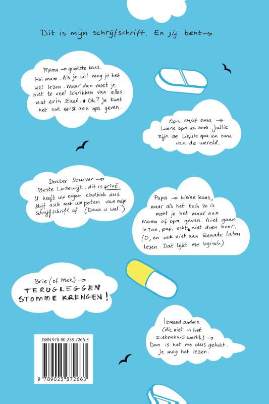 De hemel kan wachten (Hardback)