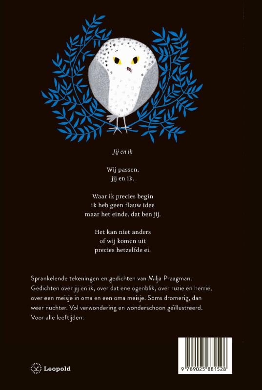 Magneetje (Hardback)