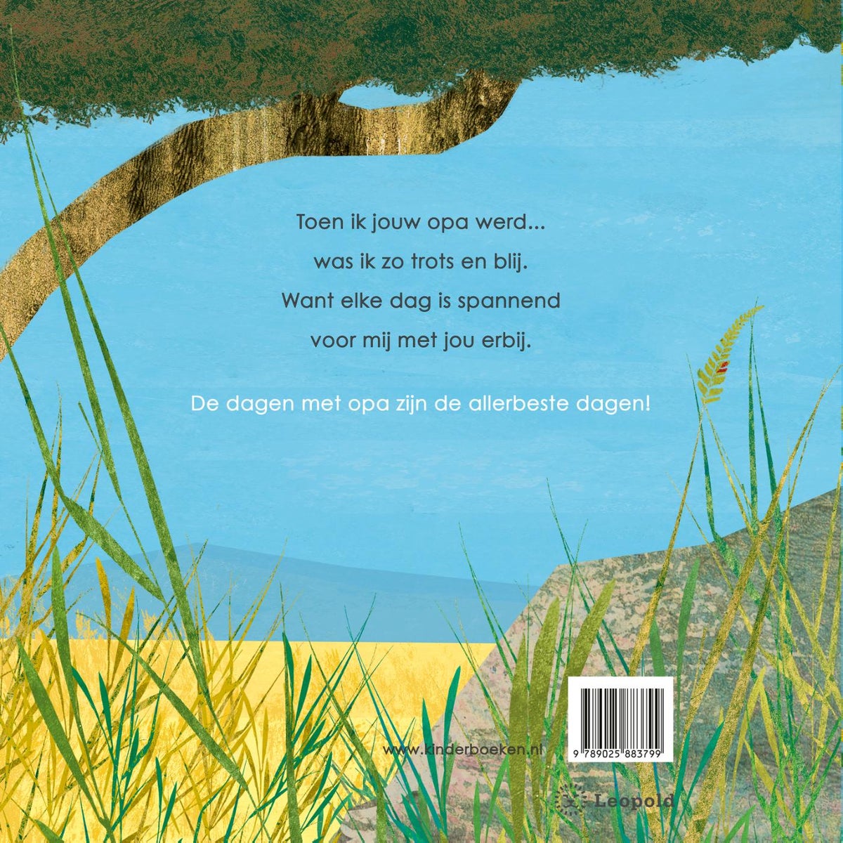 Toen ik jouw opa werd (Hardback)
