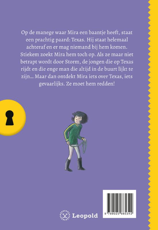Het geheim van het verdwenen paard (Hardback)