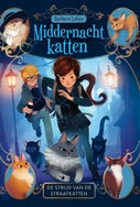 De strijd van de straatkatten (E-book)