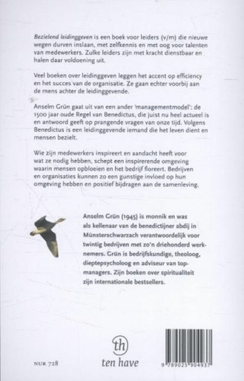 Bezielend leidinggeven (E-book)