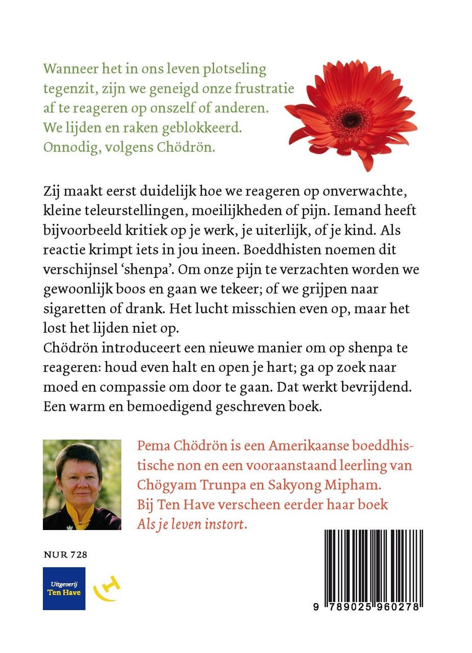 Bevrijd jezelf van angsten en oude gewoonten (E-book)