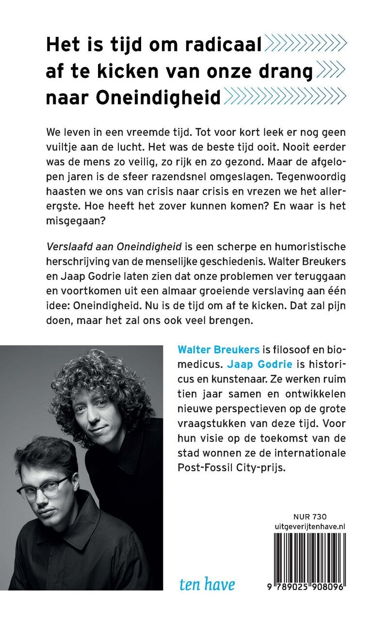 Verslaafd aan Oneindigheid (E-book)