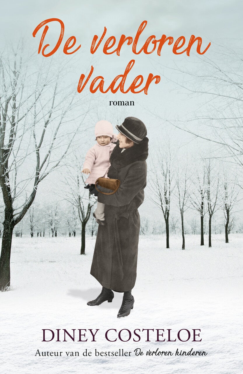 De verloren vader (E-book)