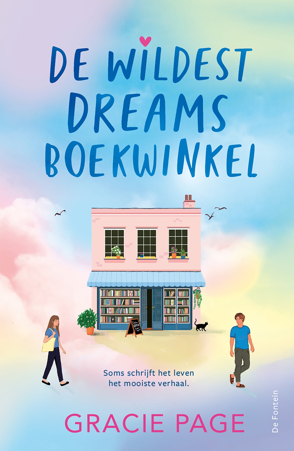 De Wildest Dreams boekwinkel (Hardback)