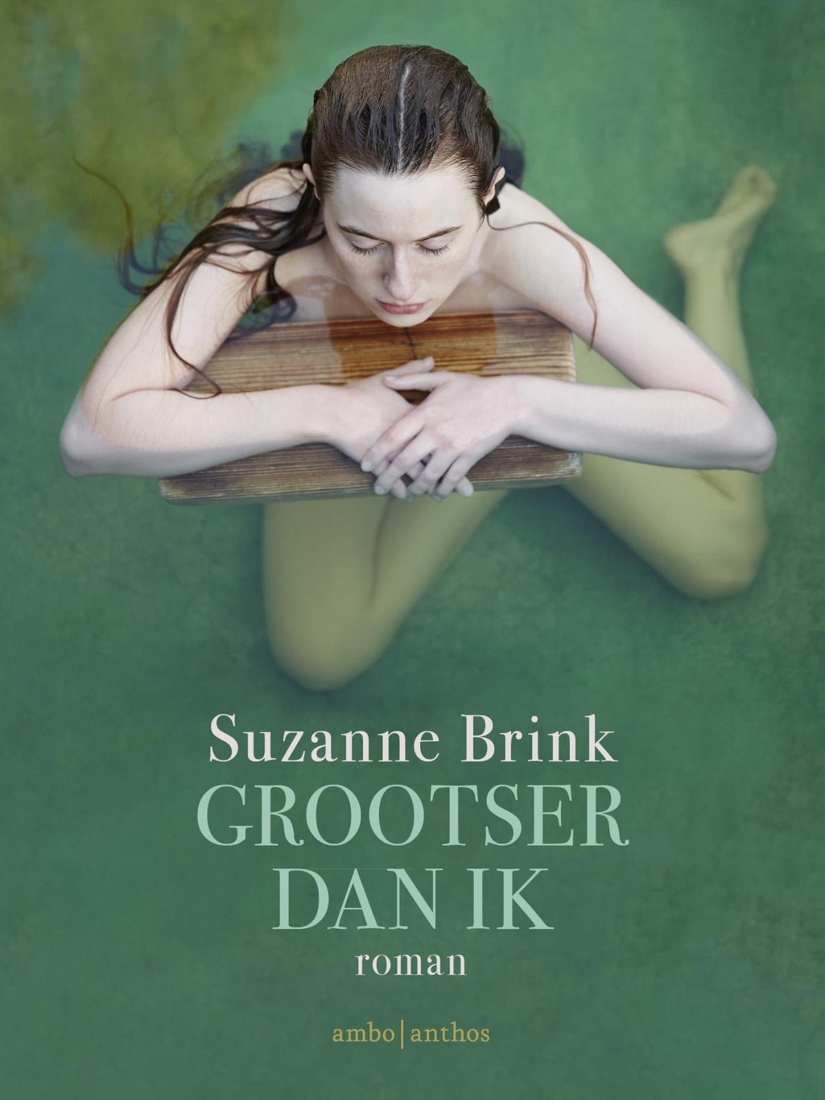 Grootser dan ik (E-book)
