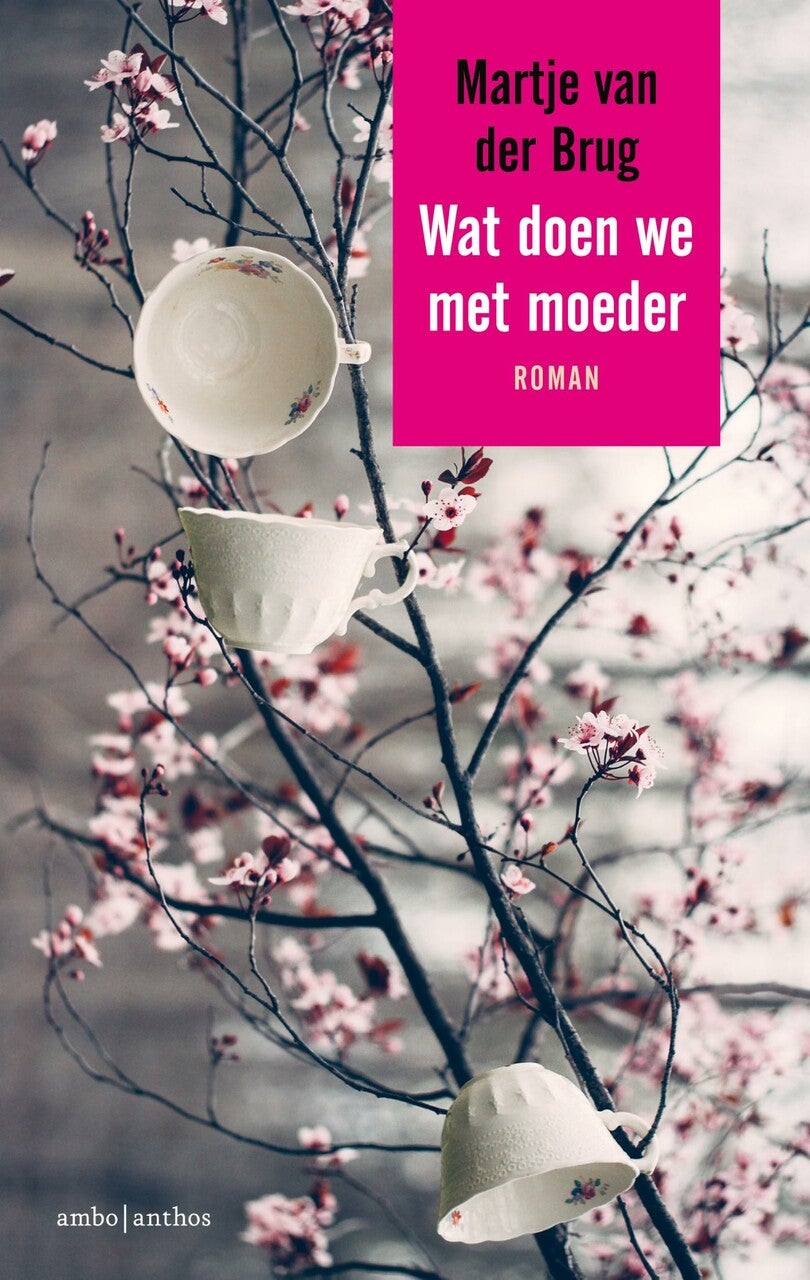 Wat doen we met moeder (E-book)