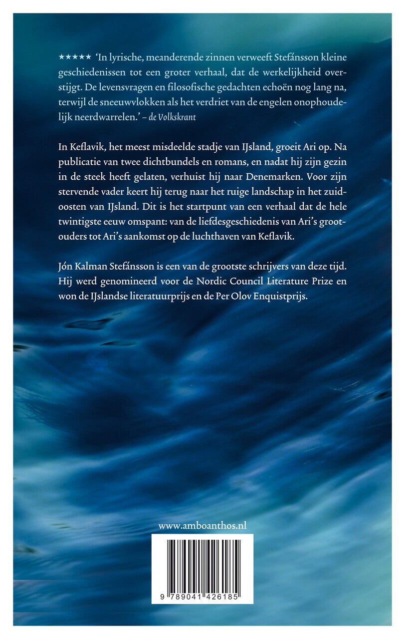 Vissen hebben geen voeten (Paperback)