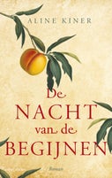 De nacht van de begijnen (E-book)