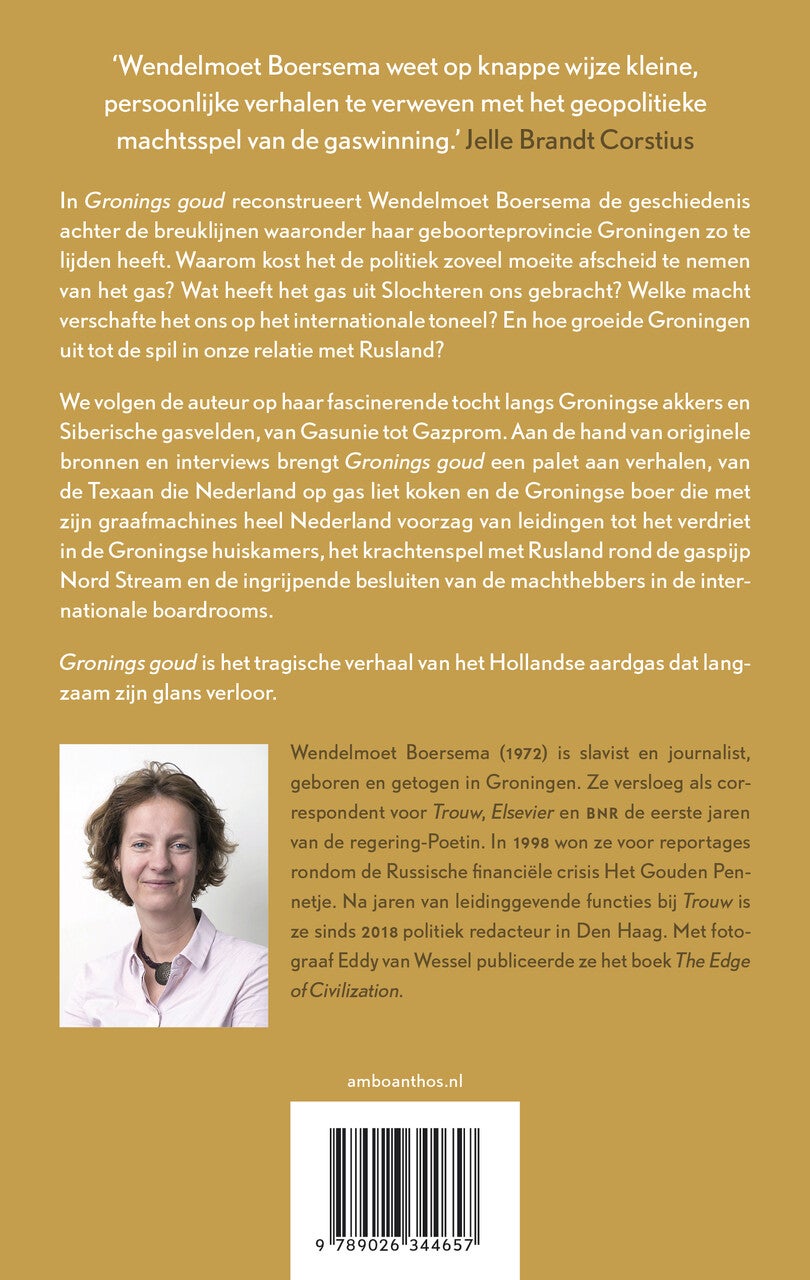 Gronings goud (Paperback)