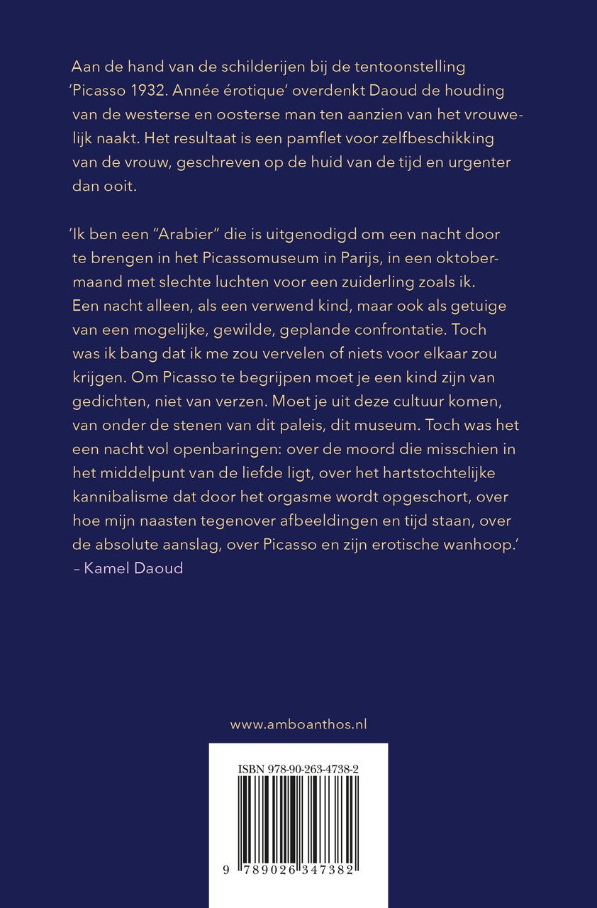 De schilder die de vrouw verslindt (Paperback)