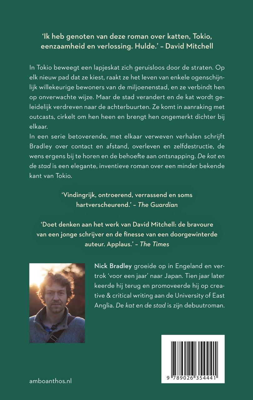 De kat en de stad (E-book)