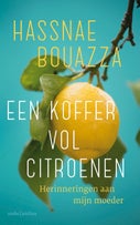 Een koffer vol citroenen (E-book)