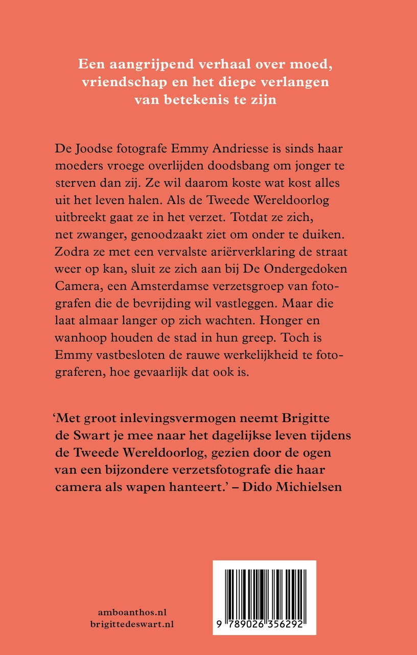 In licht bevroren (E-book)