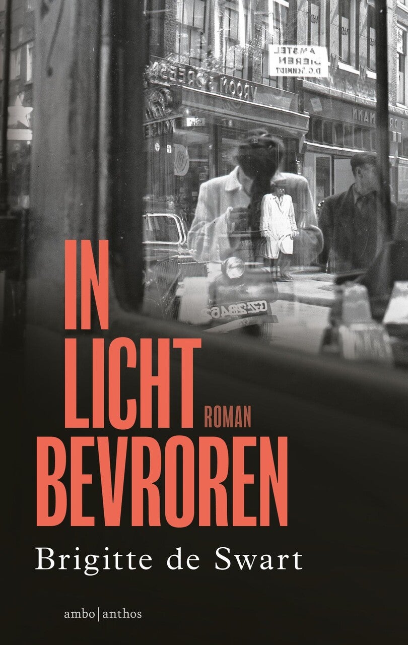 In licht bevroren (E-book)