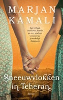 Sneeuwvlokken in Teheran (Paperback)