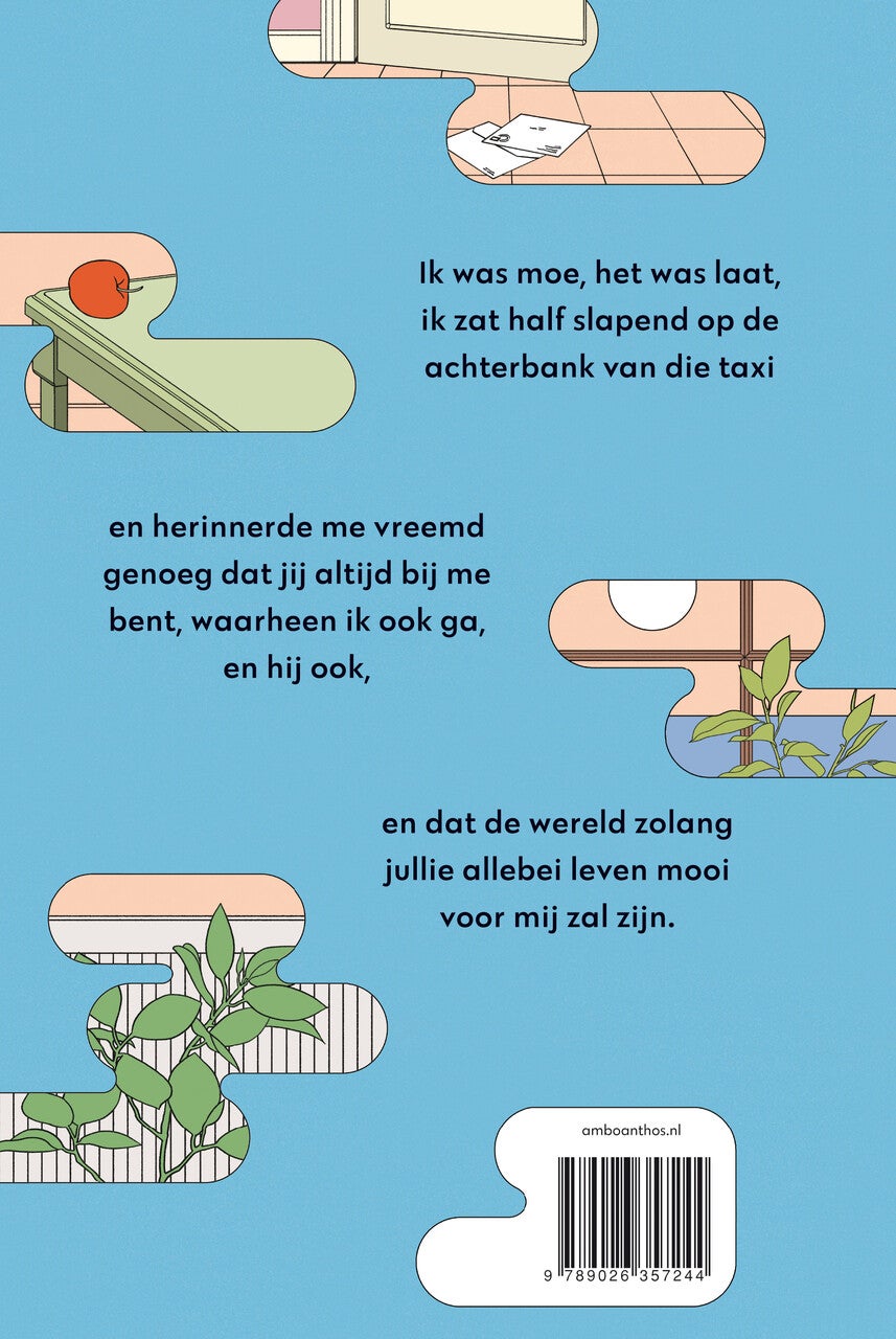Prachtige wereld, waar ben je - luxe editie (Hardback)