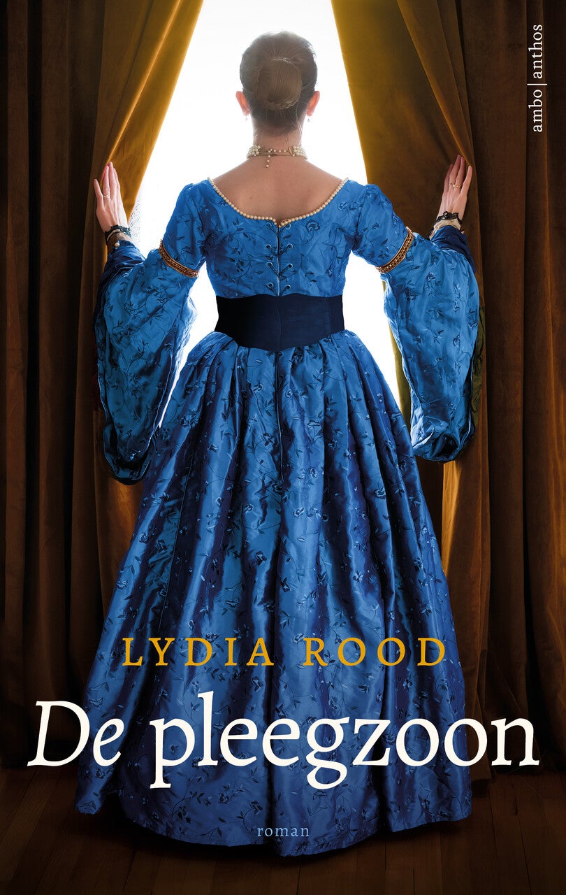 De pleegzoon (E-book)